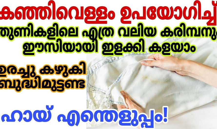 ഇനി പഴയ കഞ്ഞിവെള്ളം ഉപയോഗിച്ച്   വസ്ത്രങ്ങളിലെ കരിമ്പൻ കളയാം