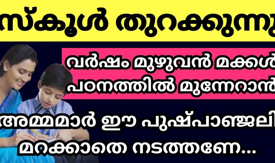 നിങ്ങളുടെ മക്കൾ ഇനി പഠനത്തിൽ മികവു പുലർത്താൻ ഈ ഒരു കാര്യം ചെയ്യൂ