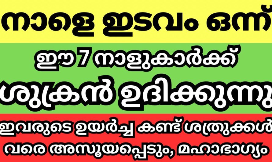 വിഷമിക്കേണ്ട ഈ ഇടവമാസത്തിൽ എല്ലാത്തിനും പ്രതിവിധിയുണ്ട്