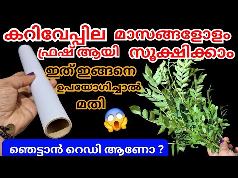 വെറുതെ കളയുന്ന പലതും ഉണ്ടെങ്കിൽ ഇനി നിങ്ങൾക്കും ഒത്തിരി കാര്യങ്ങൾ ചെയ്യാം