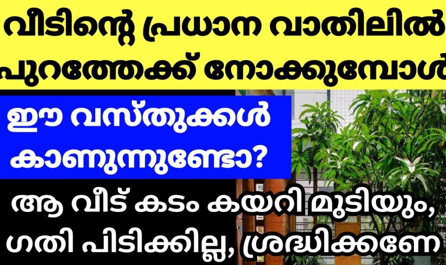 നിങ്ങളുടെ വീട്ടിലെ വാതിൽ തുറക്കുമ്പോൾ ഇതൊക്കെ കാണുന്നുണ്ട് എങ്കിൽ പ്രശ്നമാണ്