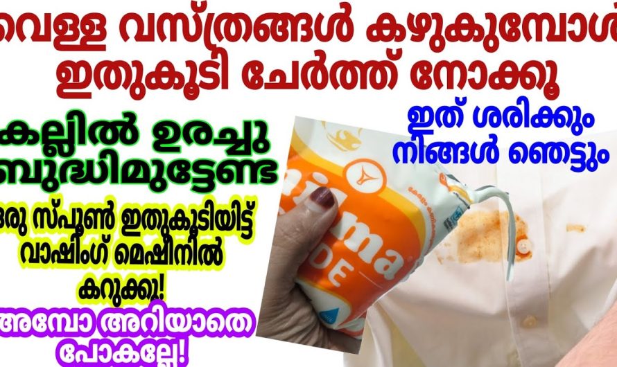 ഇനി അലക്കുന്ന നേരത്തെ കുറിച്ച് പാലും കൂടി ചേർത്താലോ