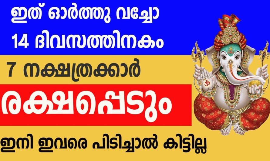 കാത്തിരിപ്പുകൾക്ക് വിരാമം ഇനി നിങ്ങളുടെ ജീവിതം പച്ച പിടിച്ചിരിക്കും