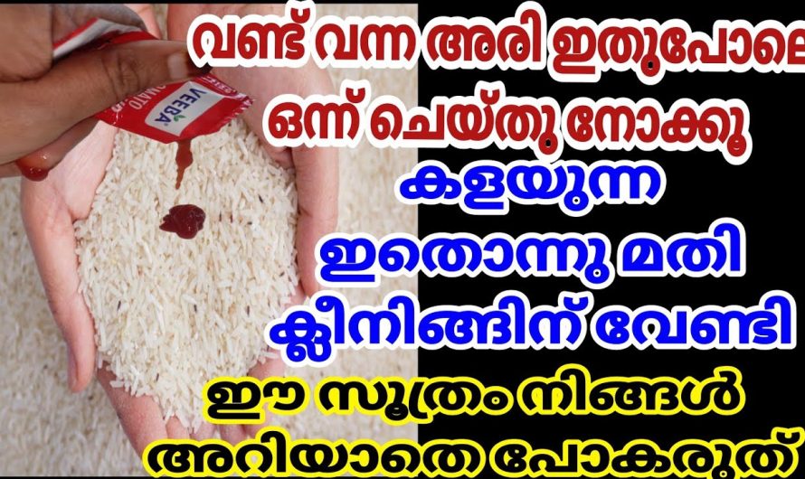 നിങ്ങൾ ഇതുവരെ ഇങ്ങനെ ചെയ്തു നോക്കിയില്ല്യേ