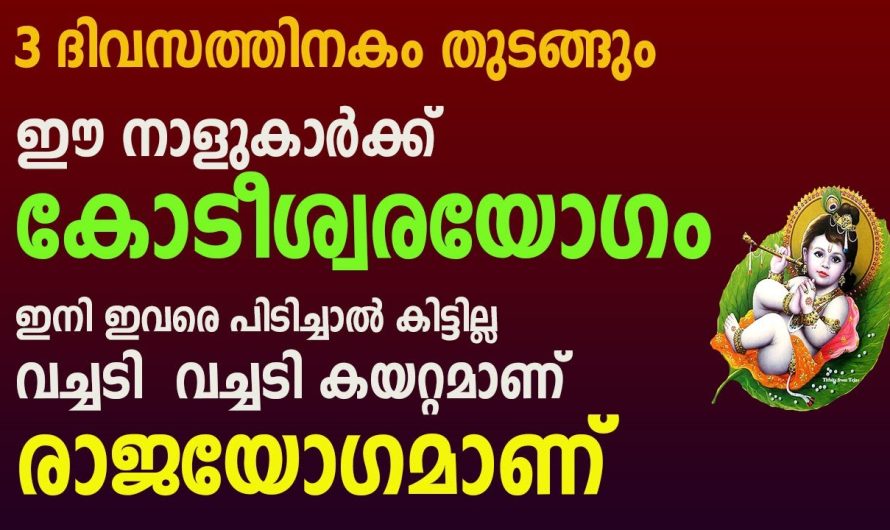 ഇനി ഇവരെ പിടിച്ചാൽ കിട്ടില്ല അത്ര വലുതായിരിക്കും ഇവരുടെ ഉയർച്ച.