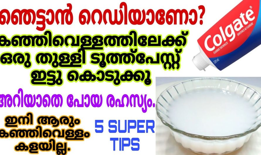 വെറും കഞ്ഞിവെള്ളം ഇങ്ങനെയും സംഭവിക്കുന്നു.