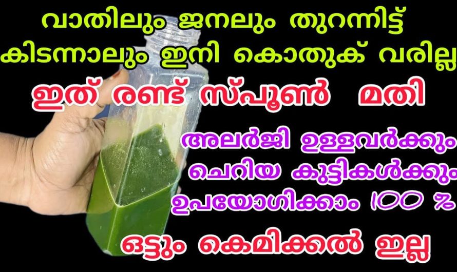 ഒരൊറ്റ കൊതുകു പോലും ഇനി ജീവനോടെ പോകില്ല.