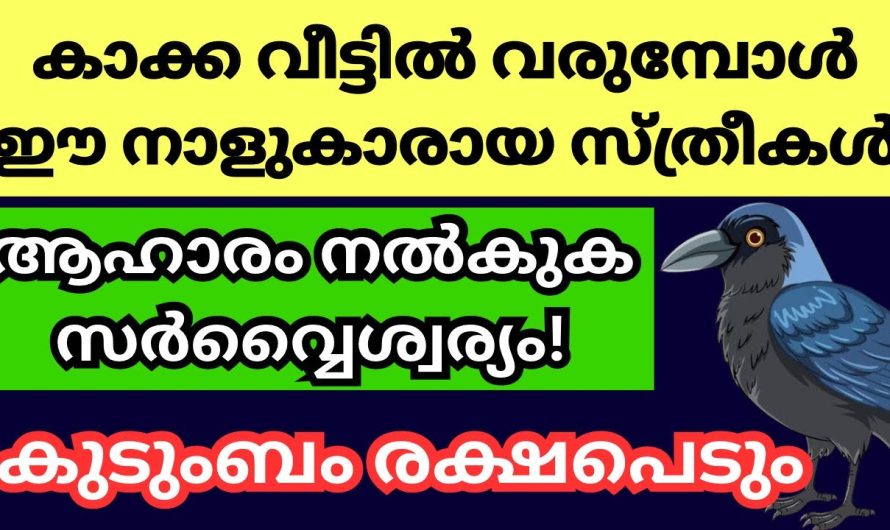 വേറെ ആര് ചെയ്തിട്ടും കാര്യമില്ല ഇവർ കൊടുത്താൽ റിസൾട്ട് ഉറപ്പാണ്.