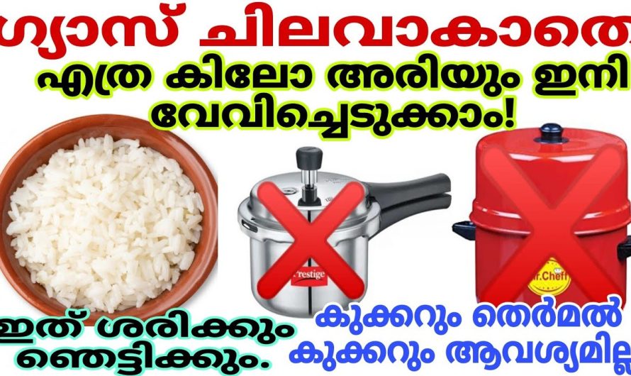 ഒരു അടുക്കള ഉപയോഗിക്കുമ്പോൾ ഉറപ്പായും അറിഞ്ഞിരിക്കേണ്ട ചില കാര്യങ്ങൾ