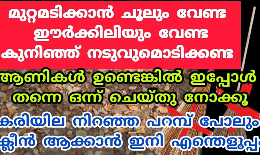 ഇനി ചവറ് മാത്രമല്ല ഈ ചൂലുകൊണ്ട് പുല്ലും പോരും