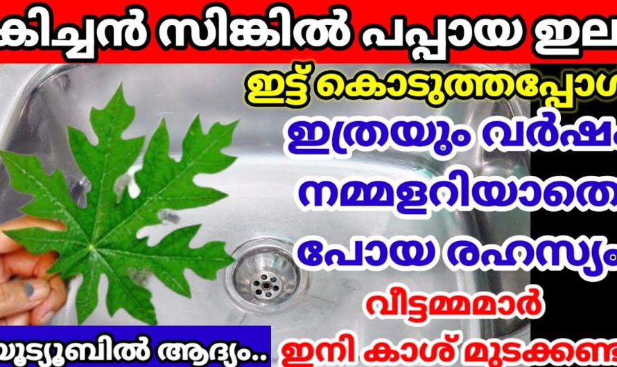 ഇനി ഒരു തരി ബ്ലോക്കില്ലാതെ നിങ്ങളുടെ കിച്ചൻ സിങ്കും ക്ലീൻ ആക്കാം