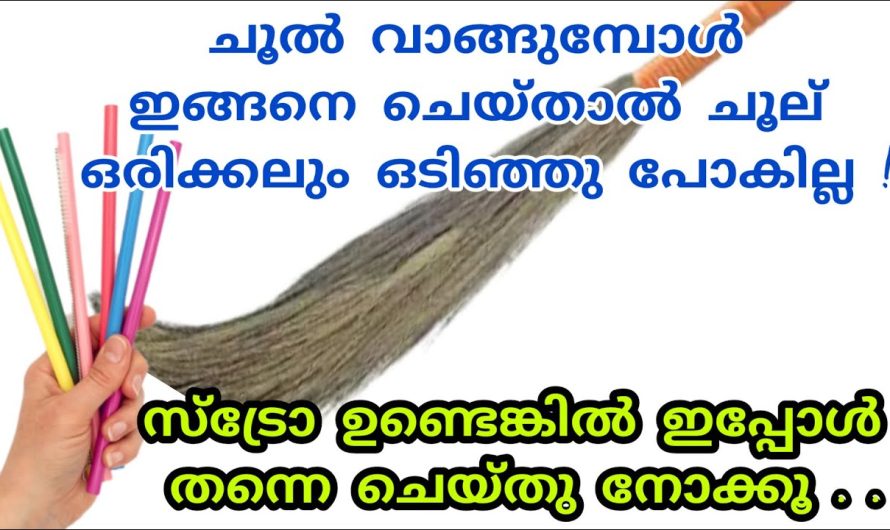 ഇനി ചൂല് വാങ്ങുമ്പോൾ നിങ്ങളും ഇങ്ങനെ ചെയ്തു നോക്കൂ വർഷങ്ങളോളം ഒരേ ചൂൽ ഉപയോഗിക്കാം