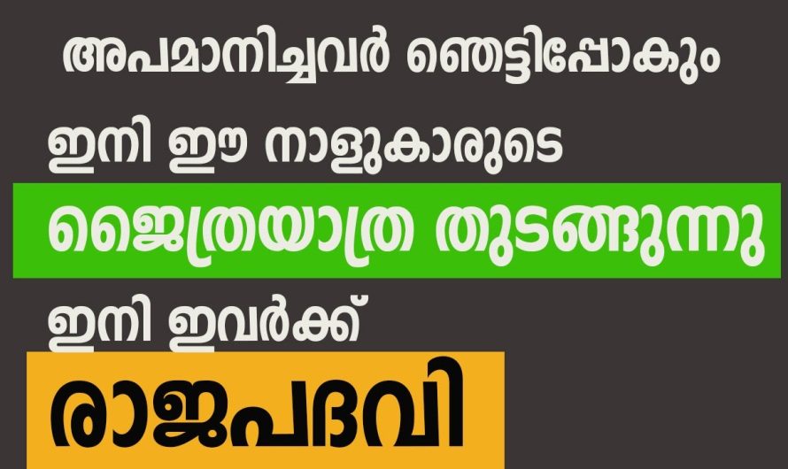 അപമാനിച്ചവരും തള്ളി പറഞ്ഞവരും ഇനി മൂക്കത്ത് വിരൽ വെക്കും