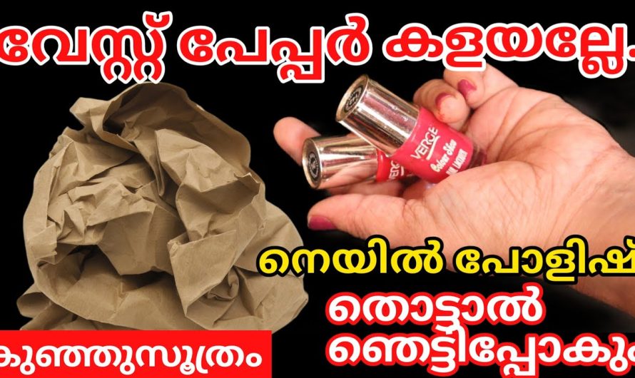 പഴയ പേപ്പർ കൊണ്ട് നിങ്ങൾക്ക് ചിന്തിക്കാൻ പോലും കഴിയാത്ത കാര്യം.