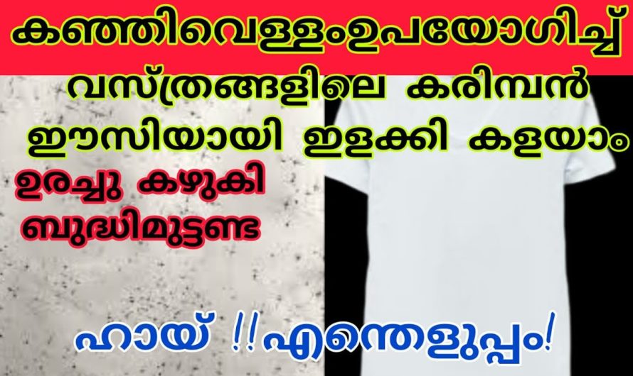 എത്ര കരിമ്പിനുള്ള വസ്ത്രങ്ങൾ ആണെങ്കിലും ഇത് ചെയ്താൽ ഒരു കുത്തു പോലും കാണില്ല