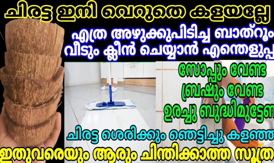 ഇവൻ ആളൊരു കേമൻ തന്നെ, ഇങ്ങനെ ഒരു ചിരട്ട സൂത്രം അറിയാതെ പോയല്ലോ