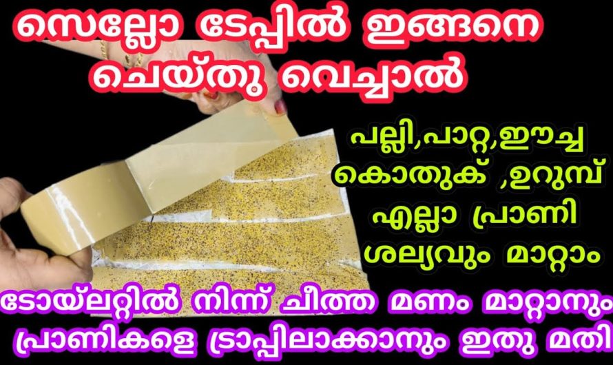 ചെല്ലോ ടൈപ്പ് മതി ഇനി പാറ്റയ്ക്കും പല്ലിക്കും ഇളകാൻ പോലും കഴിയില്ല.