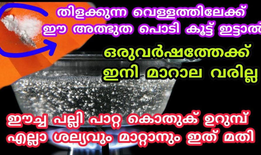 വർഷത്തിലൊരിക്കലെ ഇനി മാറാല ചൂല് തൊടേണ്ടതുള്ളൂ.