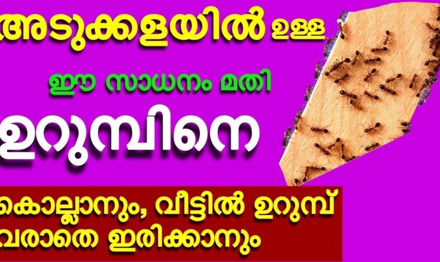 ഇത് മുൻപേ അറിഞ്ഞിരുന്നെങ്കിൽ വെറുതെ കഷ്ടപ്പെടേണ്ട ആയിരുന്നു.