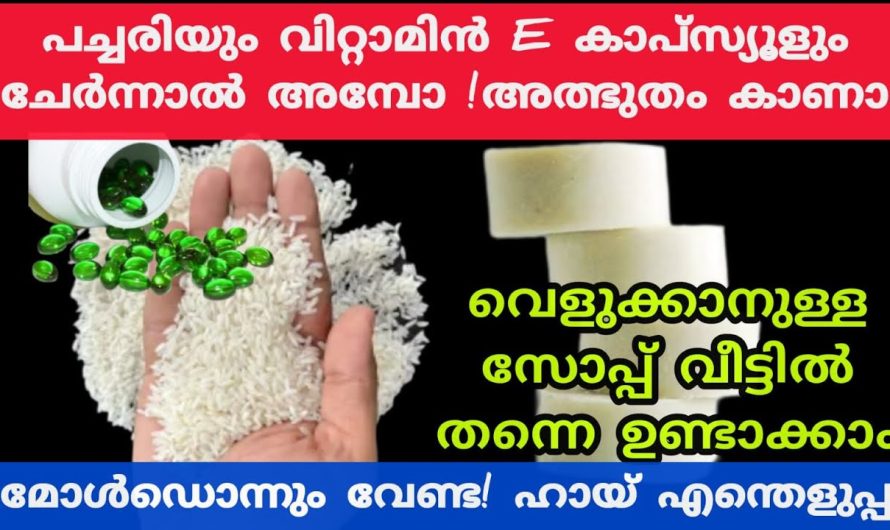 ഇനി നല്ല പതയുന്ന തിളങ്ങുന്ന സോപ്പ് വീട്ടിൽ ഉണ്ടാക്കാം.