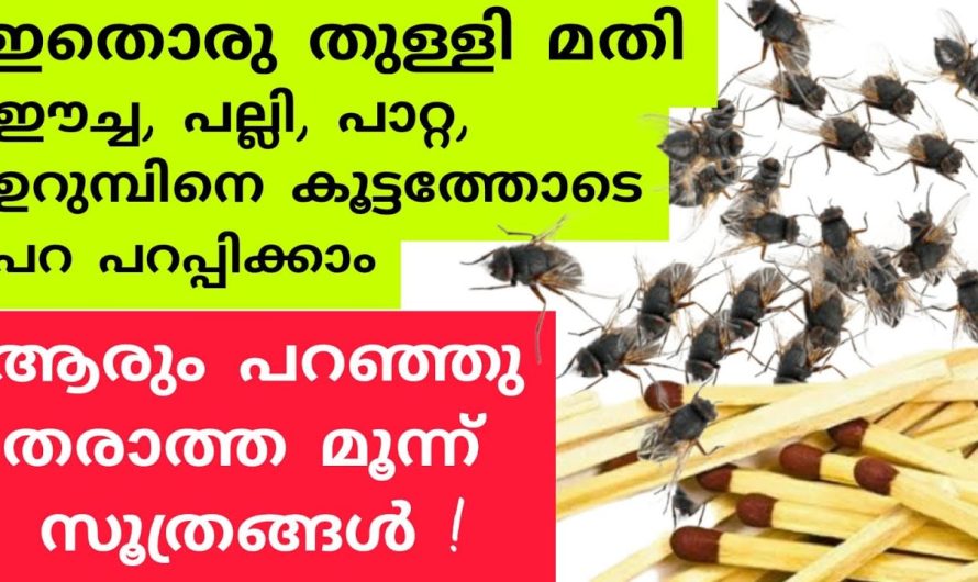 വീട്ടിൽ തീപ്പെട്ടി ഉണ്ടോ എങ്കിൽ വേഗം വെള്ളത്തിൽ ഇട്ടോളൂ.