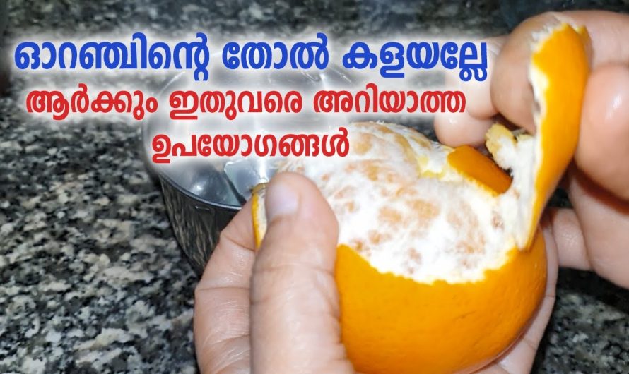 ഇനി ഓറഞ്ചിന്റെ തൊലി പോലും വെറുതെ കളയാനില്ല.