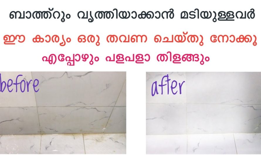 വെറും ഒരൊറ്റ സ്പ്രേ വേറൊന്നും വേണ്ട ഈ പ്രശ്നത്തിനുള്ള പരിഹാരം.