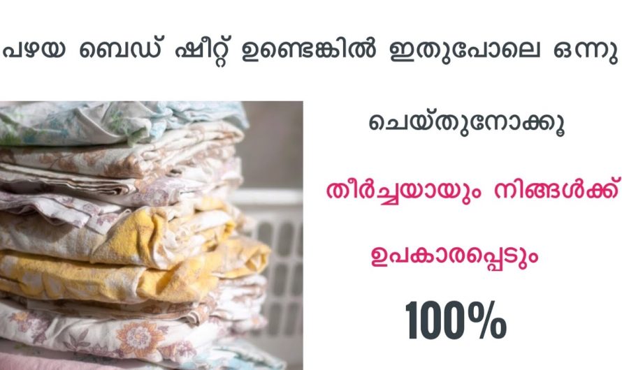 കീറി പന്നാസ് ആയാലും ഇനി ഇതൊന്നും കളയല്ലേ