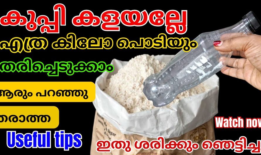 സാധനങ്ങൾ പഴയതായിക്കൊള്ളട്ടെ, ഇനി പുതിയത് എന്തെങ്കിലും ചെയ്താലോ