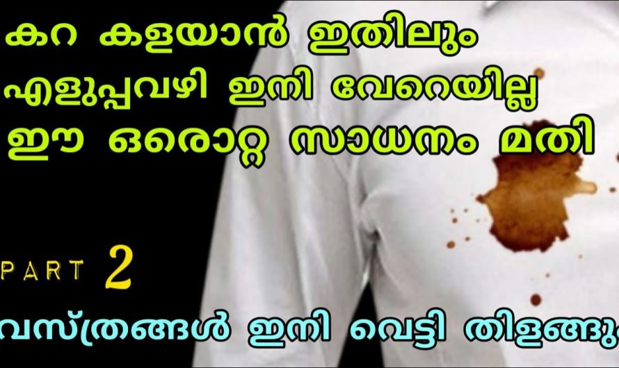 ഇനി വേറൊന്നും ട്രൈ ചെയ്യേണ്ട ഇതുതന്നെയാണ് ബെസ്റ്റ്..