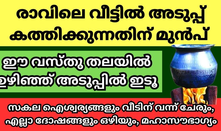 ഇനി നിങ്ങളും രാവിലെ അടുപ്പ് ഇങ്ങനെ കത്തിച്ച് തുടങ്ങു