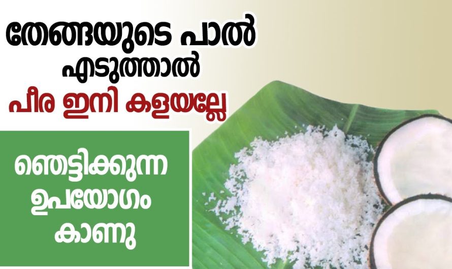 ഇനി നാളികേരം പിഴിഞ്ഞാൽ പീര ആരും കളയില്ല