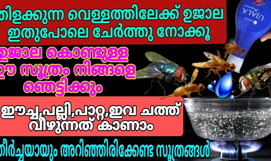 ഇനി കണ്ണാടിയിൽ നിങ്ങൾ കൂടുതൽ തിളങ്ങുന്നത് കാണാം