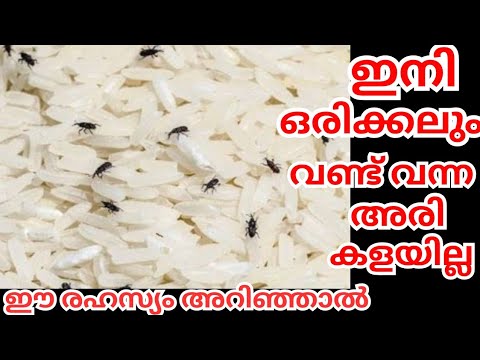 ഇതൊക്കെ നിസ്സാരമല്ലേ, ഇനി ഇതൊന്നും പ്രശ്നമായി കരുതേണ്ടതില്ല