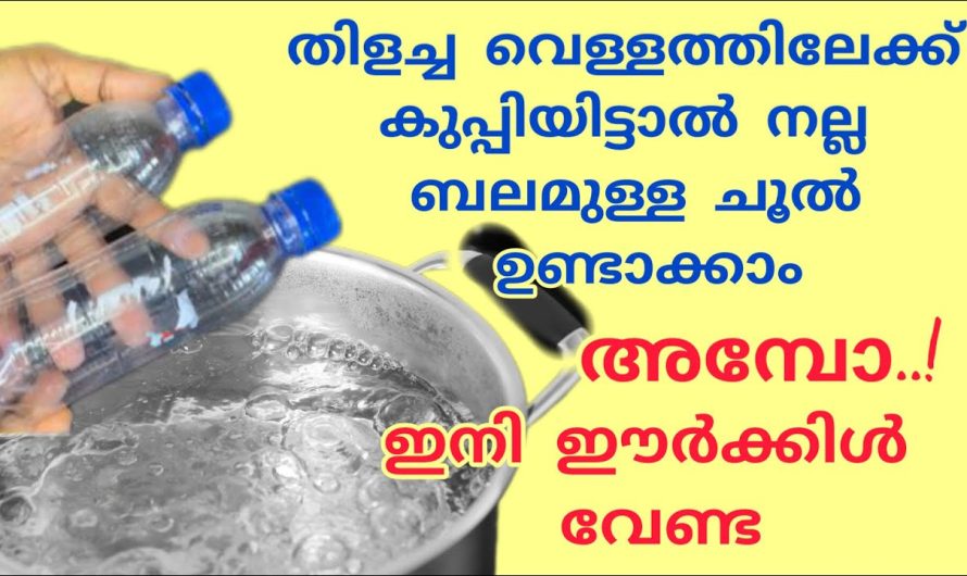 വേസ്റ്റിൽ കിടക്കുന്ന പ്ലാസ്റ്റിക് കുപ്പിക്കും പണികിട്ടി.