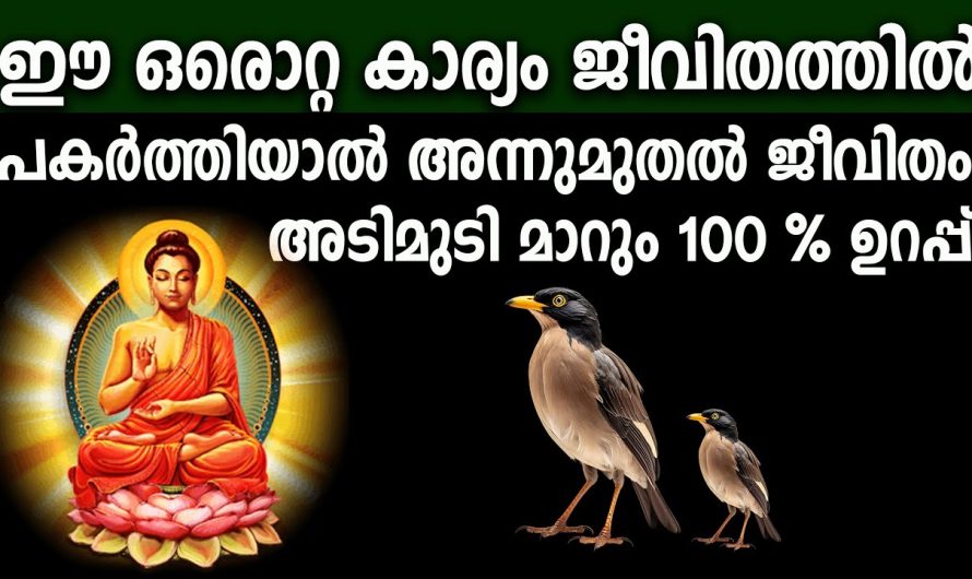 ഈശ്വരൻ നിങ്ങളെ എത്ര കണ്ട് അനുഗ്രഹിച്ചിരിക്കുന്നു.