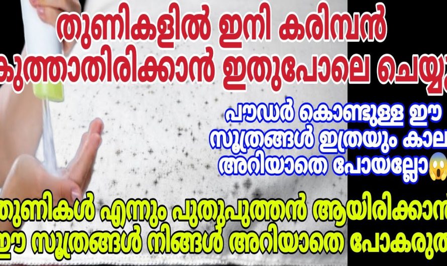 പഴയതാണെങ്കിൽ എന്താ ഇതാണ് ഏറ്റവും നല്ലത്