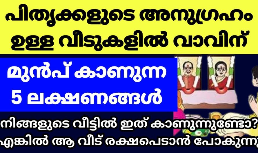 ഇങ്ങനെ കണ്ടാൽ ഉറപ്പിചോളൂ പിതൃക്കൾ നിങ്ങളോടൊപ്പം ഉണ്ട്