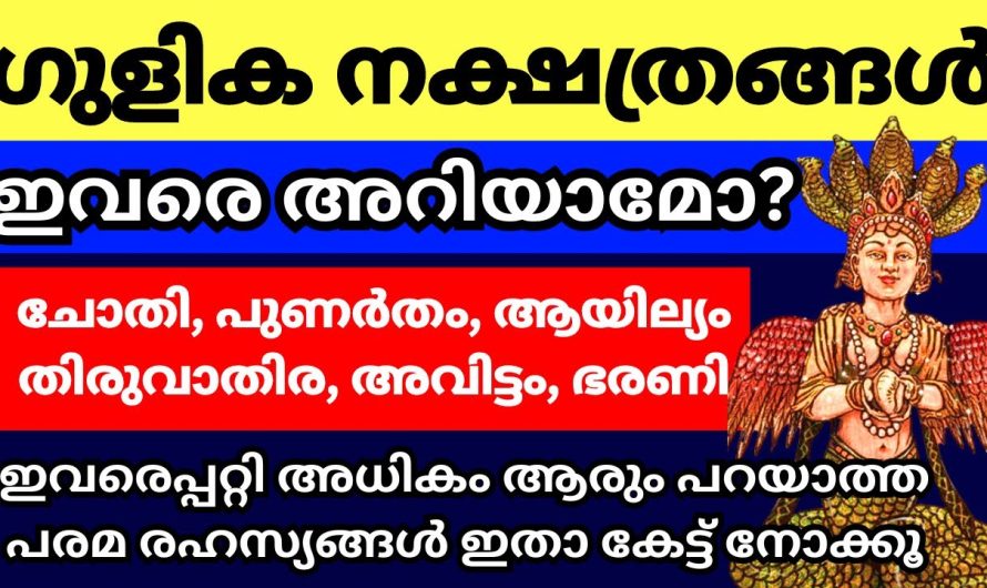 ഇവരുടെ നാക്കിൽ ഗുളികൻ ഉണ്ട് അതുകൊണ്ട് ഒന്നു സൂക്ഷിച്ചോ