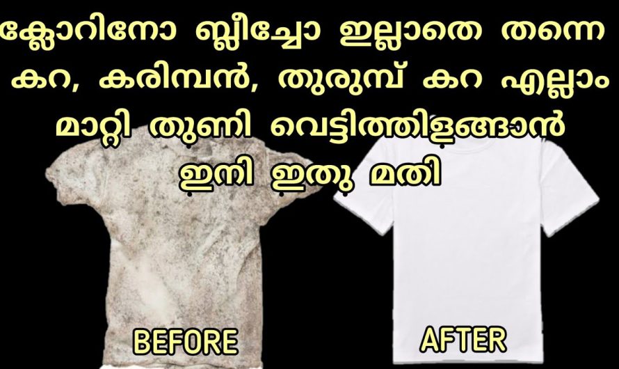 എത്ര പഴകിയ കരിമ്പനും  നിമിഷങ്ങൾ കൊണ്ട് മാറ്റിയേക്കാം.