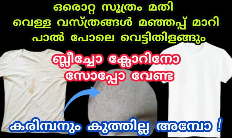 മങ്ങിയ നിറമൊക്കെ ഇനി തിരിച്ചുപിടിക്കാം, വസ്ത്രങ്ങൾ ഇനി പാലുപോലെ വെൺമയുള്ളത്.