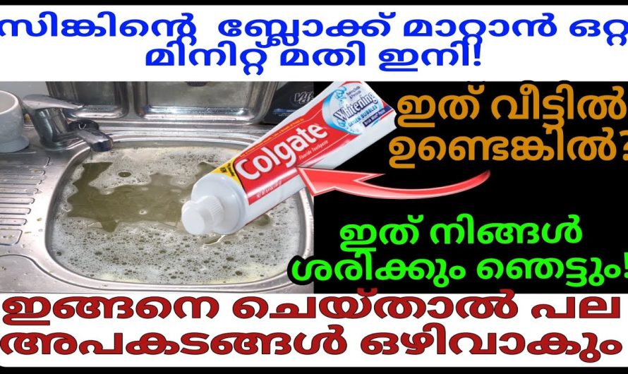 ഇനി സിംഗിനകത്ത് ഒരു പ്രശ്നവും കാണില്ല, ബ്ലോക്കില്ല എപ്പോഴും ക്ലീൻ ആകും.