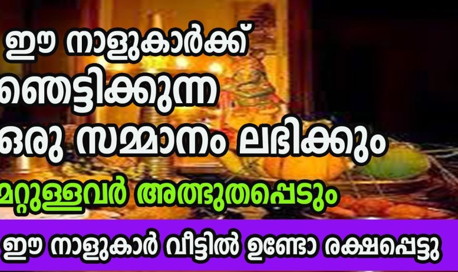 വെറുതെ പറയുന്നതല്ല ഇനി ഉറപ്പായും തിരിഞ്ഞുനോക്കേണ്ടി വരില്ല.