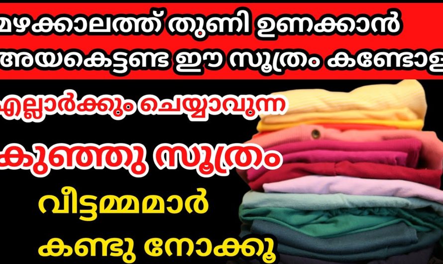 നിങ്ങൾ അറിഞ്ഞുവോ പഴയ ബെൽറ്റിനും പണികിട്ടി.