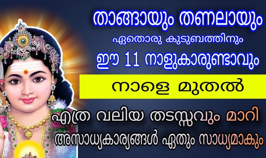 ഇനി സൗഭാഗ്യം കൊണ്ട് നിങ്ങൾക്ക് ഇരിക്കാൻ പോലും സമയം ഉണ്ടാകില്ല.