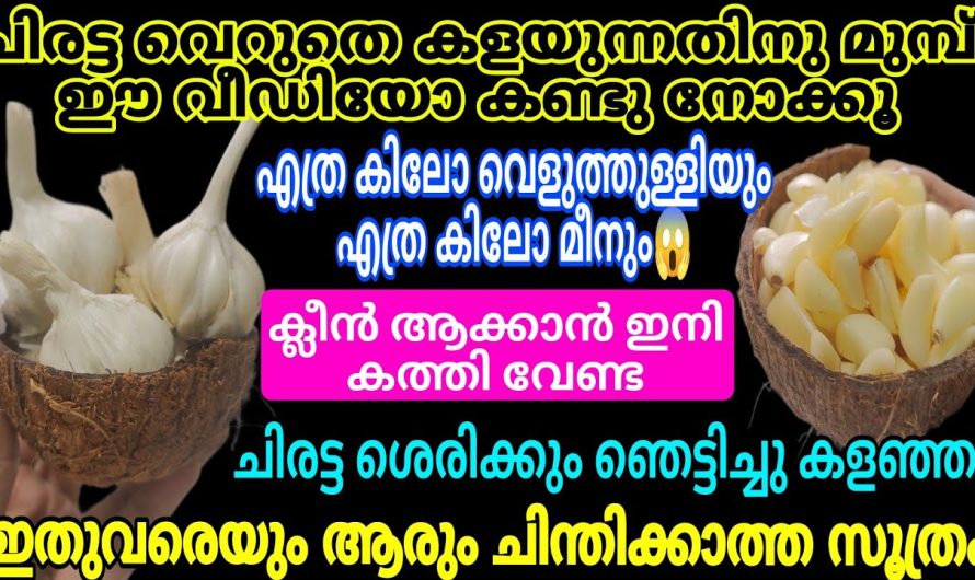 ഒരു കുഞ്ഞൻ ചിരട്ട കൊണ്ട് ഇനി എന്തൊക്കെ സംഭവിക്കുന്നു