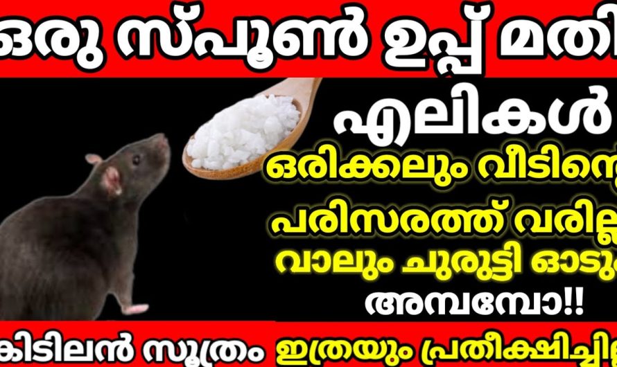 നിങ്ങളും ഇതറിഞ്ഞാൽ അതിശയിച്ചു പോകും അത്രയും റിസൾട്ട്‌ ഉണ്ട്.