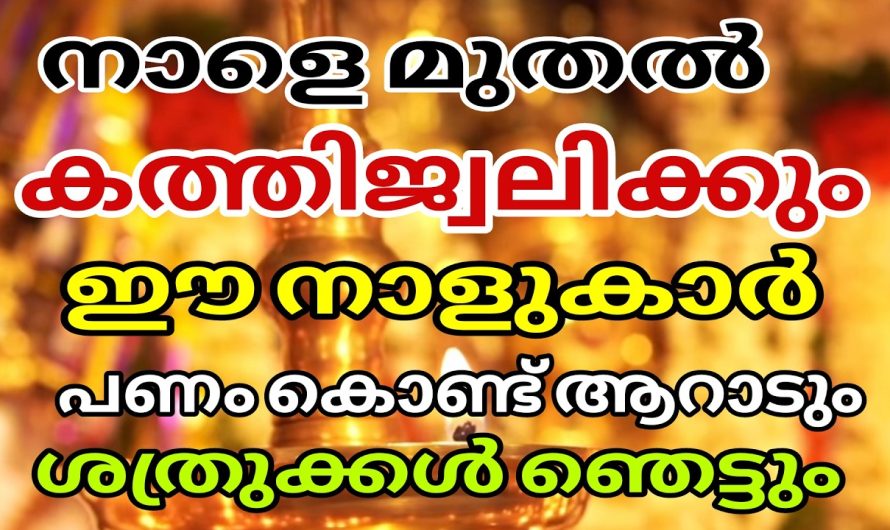 ഈ ഒരു രാത്രി ഇരുട്ടി വെളുത്താൽ സംഭവിക്കുന്നത്.