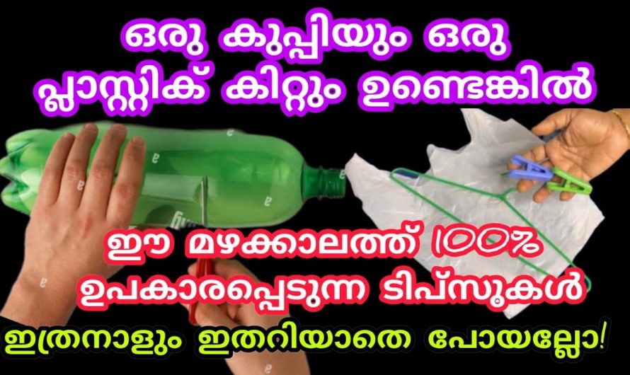 ഇനി വെറുതെ കളയാൻ പോലും വീട്ടിൽ പ്ലാസ്റ്റിക് കാണില്ല