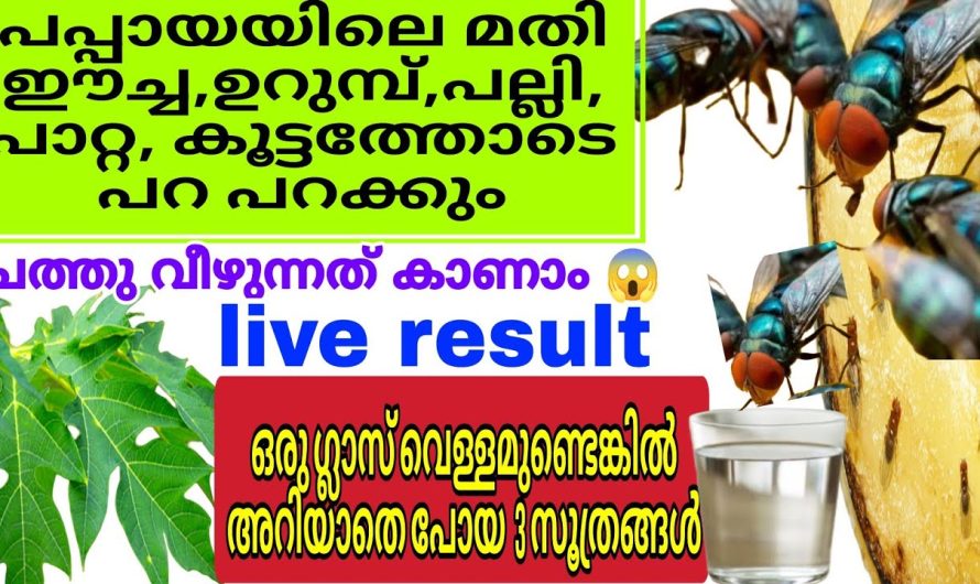 ഇനി ഇതൊക്കെ കൂട്ടത്തോടെ ചത്തുവീയുന്നത് കാണാം.